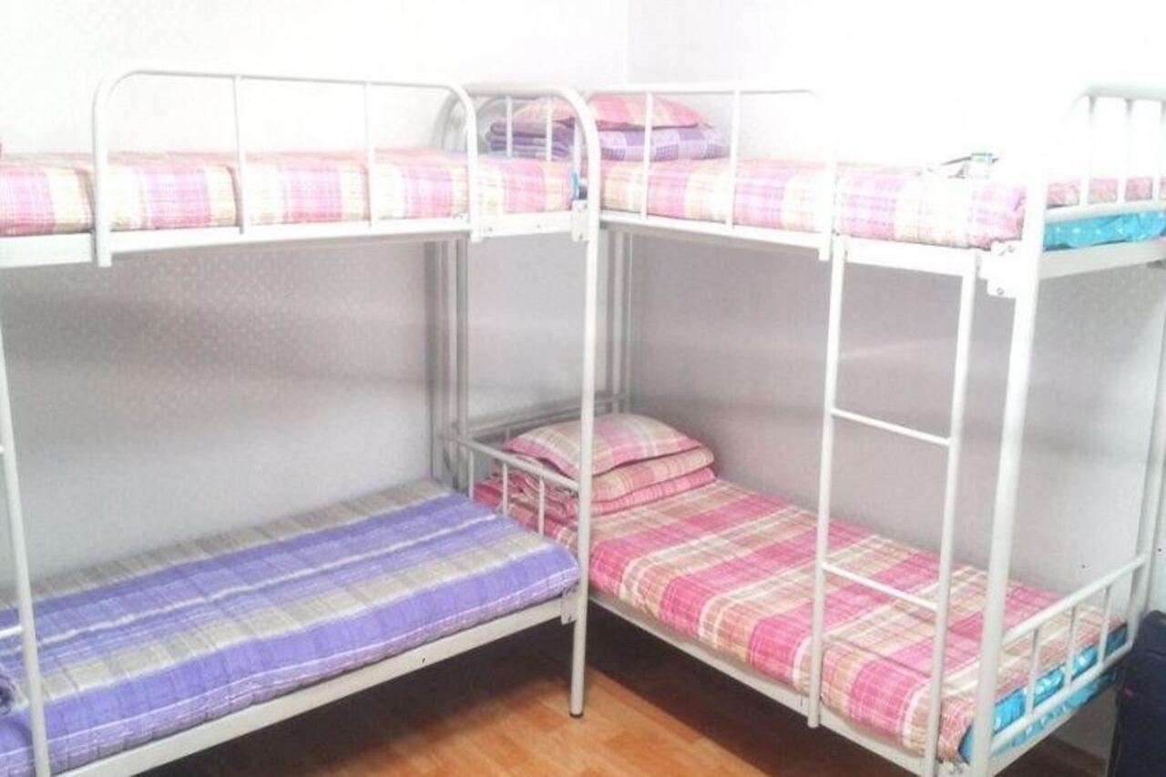 Alpha Guesthouse 首爾 外观 照片